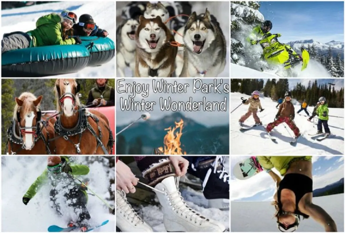 This dynamic exterior image features families and individuals enjoying a variety of winter activities: people tubing down snowy hills, huskies ready for dog sledding, snowmobiles in action, horses for sleigh or trail rides, children learning to ski, and a snowboarder carving through fresh powder. The scene captures the essence of a joyful, adventurous winter day with laughter and energy in the snow.