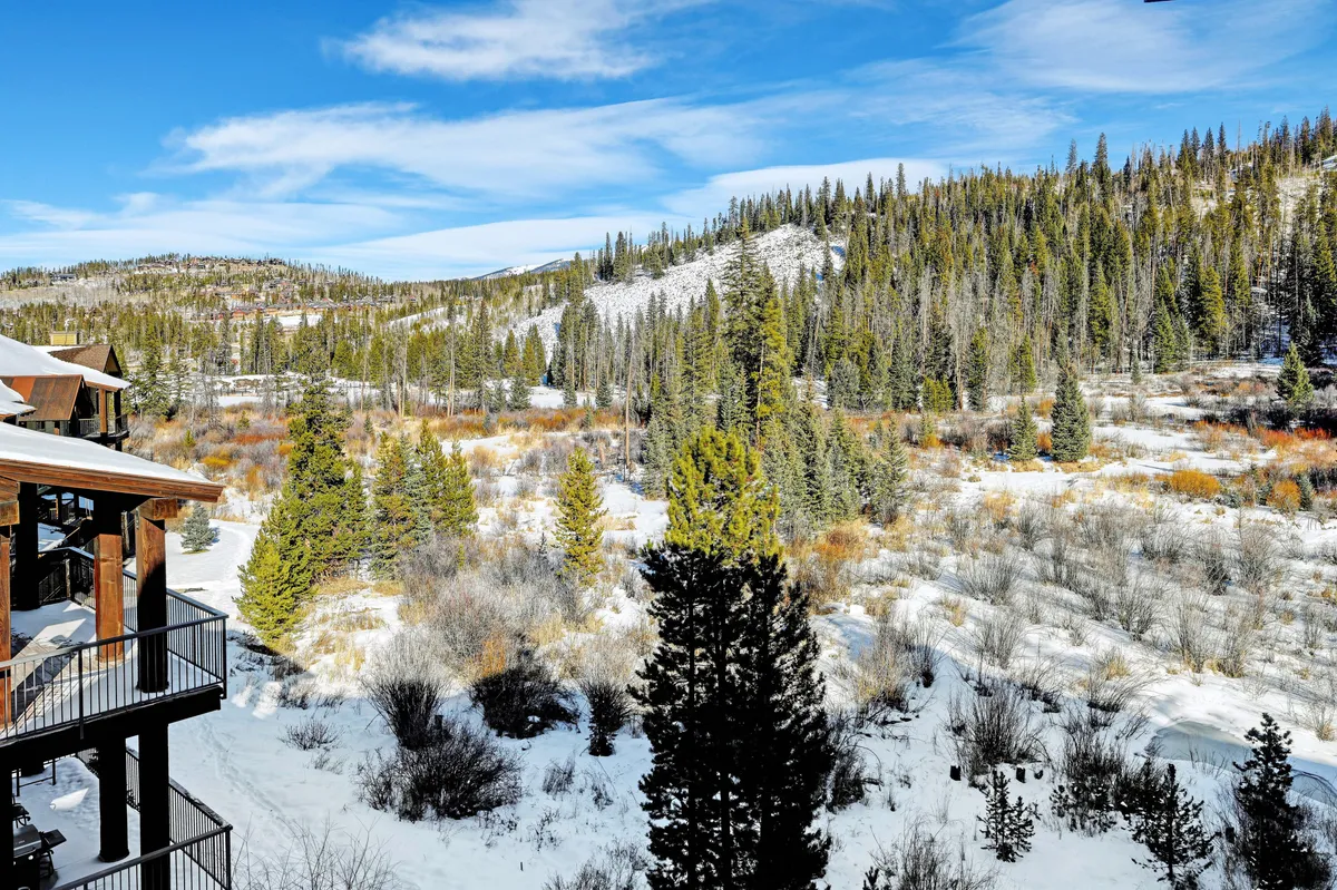 A breathtaking view of a snow-covered landscape dotted with evergreen trees and set against a majestic mountain backdrop. The scene exudes peace and highlights opportunities for nature walks, hiking, and wildlife observation.